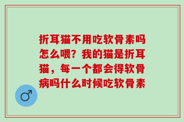 折耳猫不用吃软骨素吗怎么喂？我的猫是折耳猫，每一个都会得软骨病吗什么时候吃软骨素