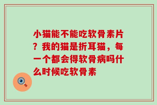 小猫能不能吃软骨素片？我的猫是折耳猫，每一个都会得软骨病吗什么时候吃软骨素