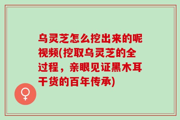 乌灵芝怎么挖出来的呢视频(挖取乌灵芝的全过程，亲眼见证黑木耳干货的百年传承)