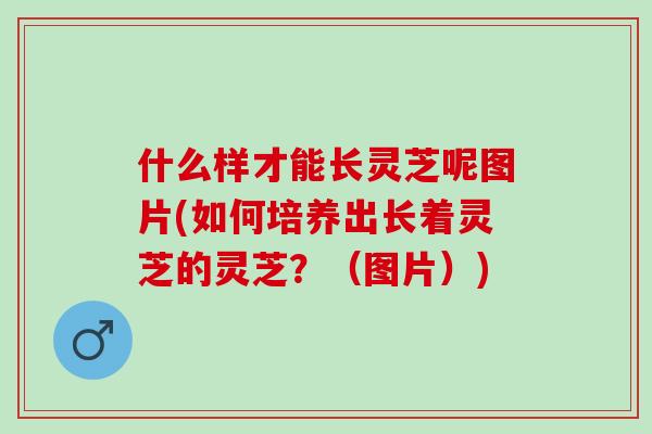 什么样才能长灵芝呢图片(如何培养出长着灵芝的灵芝？（图片）)