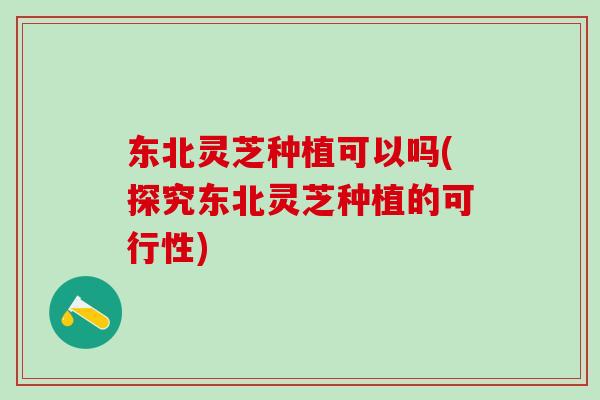 东北灵芝种植可以吗(探究东北灵芝种植的可行性)