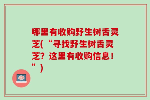 哪里有收购野生树舌灵芝(“寻找野生树舌灵芝？这里有收购信息！”)