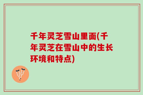千年灵芝雪山里面(千年灵芝在雪山中的生长环境和特点)