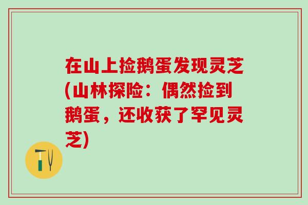 在山上捡鹅蛋发现灵芝(山林探险：偶然捡到鹅蛋，还收获了罕见灵芝)