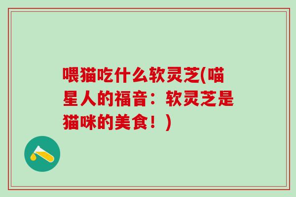 喂猫吃什么软灵芝(喵星人的福音：软灵芝是猫咪的美食！)