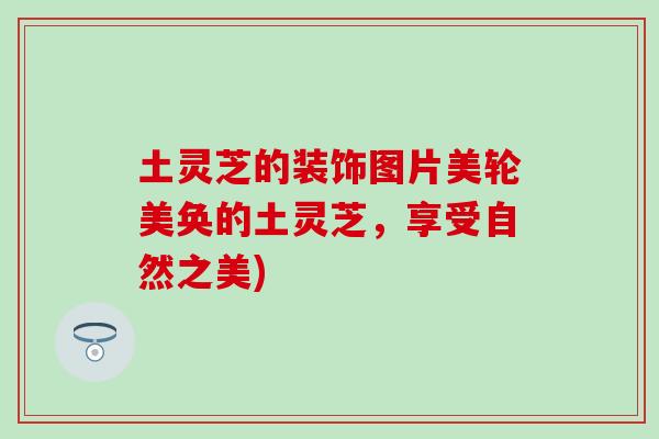 土灵芝的装饰图片美轮美奂的土灵芝，享受自然之美)