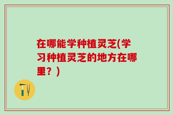 在哪能学种植灵芝(学习种植灵芝的地方在哪里？)