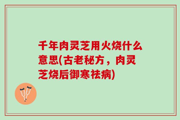 千年肉灵芝用火烧什么意思(古老秘方，肉灵芝烧后御寒祛病)