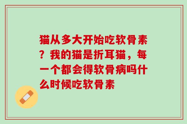 猫从多大开始吃软骨素？我的猫是折耳猫，每一个都会得软骨病吗什么时候吃软骨素