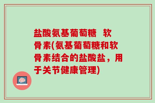 盐酸氨基葡萄糖  软骨素(氨基葡萄糖和软骨素结合的盐酸盐，用于关节健康管理)