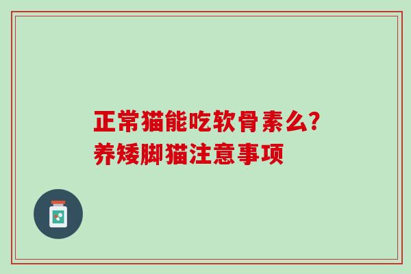 正常猫能吃软骨素么？养矮脚猫注意事项