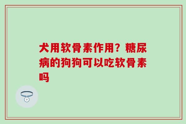 犬用软骨素作用？糖尿病的狗狗可以吃软骨素吗