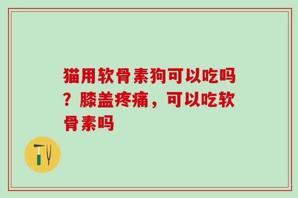 猫用软骨素狗可以吃吗？膝盖疼痛，可以吃软骨素吗