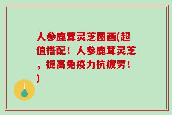 人参鹿茸灵芝图画(超值搭配！人参鹿茸灵芝，提高！)