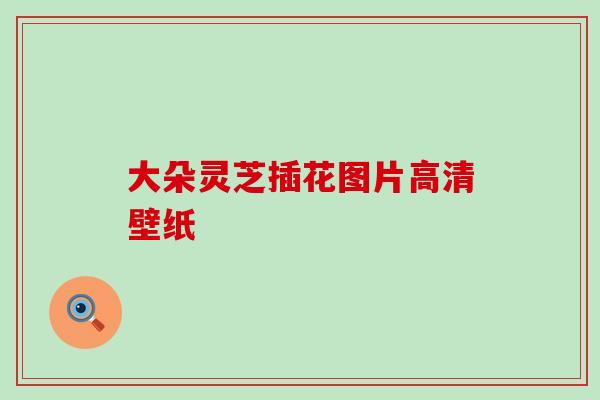 大朵灵芝插花图片高清壁纸