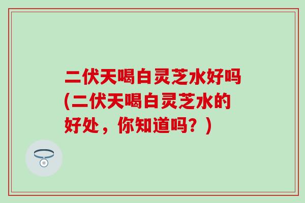 二伏天喝白灵芝水好吗(二伏天喝白灵芝水的好处，你知道吗？)