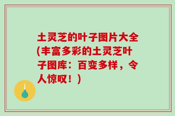 土灵芝的叶子图片大全(丰富多彩的土灵芝叶子图库：百变多样，令人惊叹！)