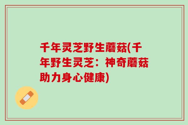 千年灵芝野生蘑菇(千年野生灵芝：神奇蘑菇助力身心健康)