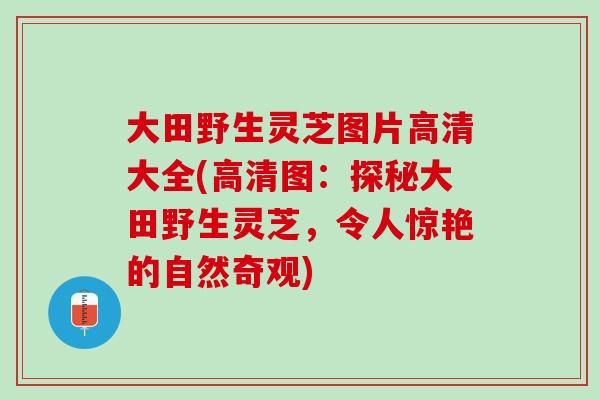 大田野生灵芝图片高清大全(高清图：探秘大田野生灵芝，令人惊艳的自然奇观)