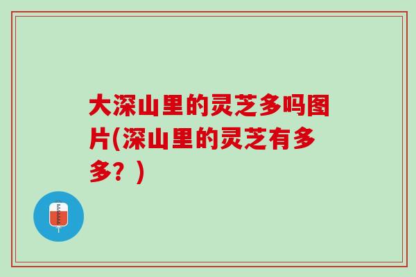 大深山里的灵芝多吗图片(深山里的灵芝有多多？)