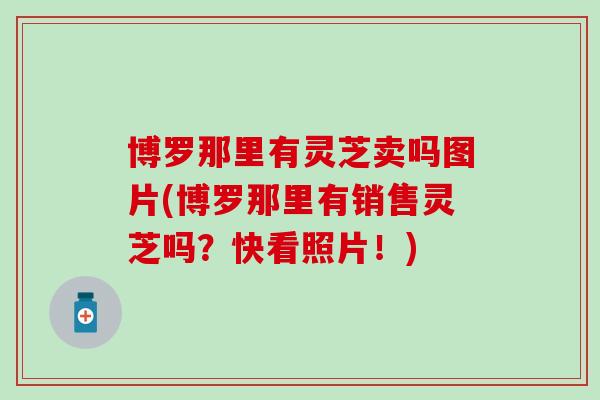 博罗那里有灵芝卖吗图片(博罗那里有销售灵芝吗？快看照片！)