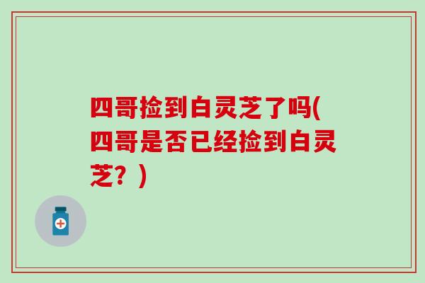 四哥捡到白灵芝了吗(四哥是否已经捡到白灵芝？)