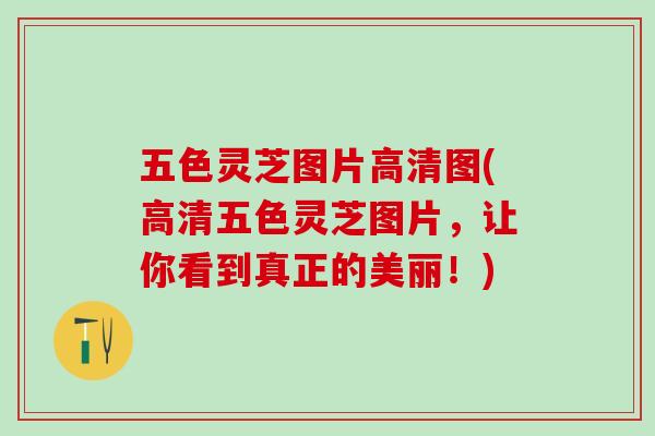 五色灵芝图片高清图(高清五色灵芝图片，让你看到真正的美丽！)