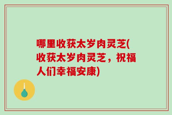 哪里收获太岁肉灵芝(收获太岁肉灵芝，祝福人们幸福安康)