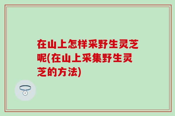 在山上怎样采野生灵芝呢(在山上采集野生灵芝的方法)