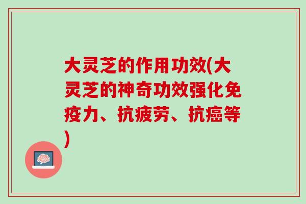 大灵芝的作用功效(大灵芝的神奇功效强化免疫力、抗疲劳、抗癌等)