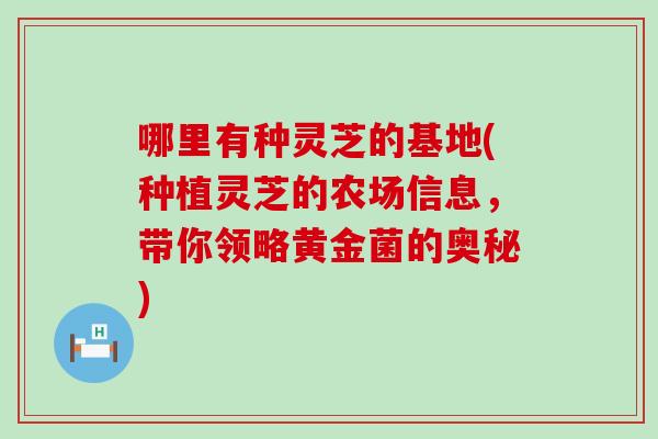 哪里有种灵芝的基地(种植灵芝的农场信息，带你领略黄金菌的奥秘)