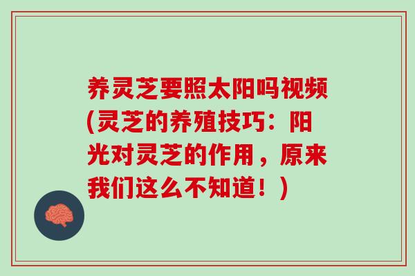 养灵芝要照太阳吗视频(灵芝的养殖技巧：阳光对灵芝的作用，原来我们这么不知道！)