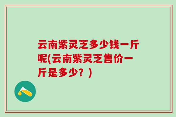 云南紫灵芝多少钱一斤呢(云南紫灵芝售价一斤是多少？)