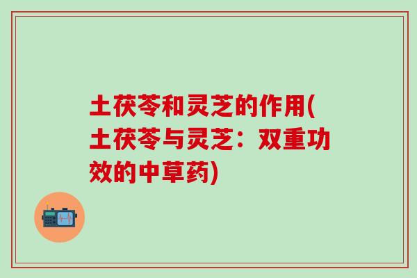 土茯苓和灵芝的作用(土茯苓与灵芝：双重功效的中草药)