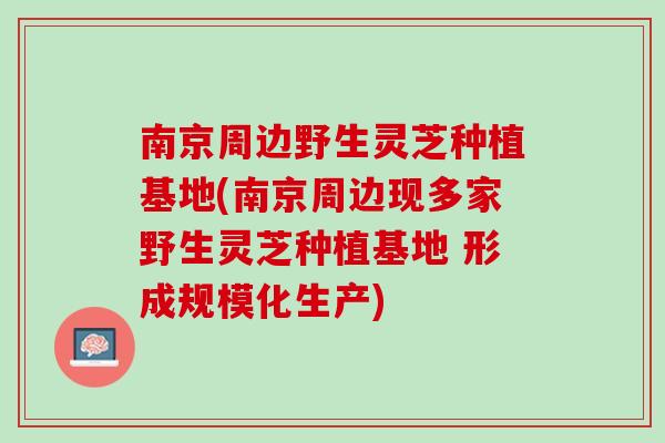 南京周边野生灵芝种植基地(南京周边现多家野生灵芝种植基地 形成规模化生产)