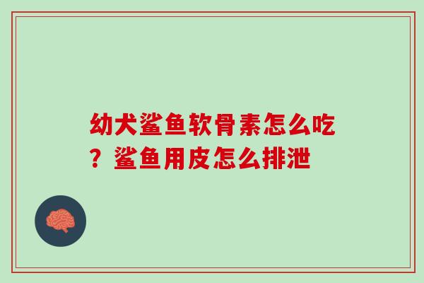 幼犬鲨鱼软骨素怎么吃？鲨鱼用皮怎么排泄