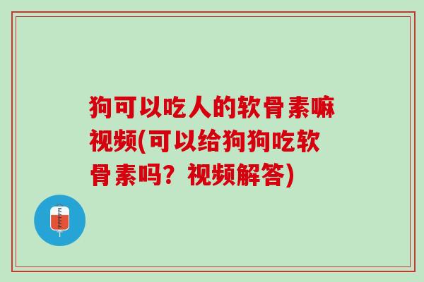 狗可以吃人的软骨素嘛视频(可以给狗狗吃软骨素吗？视频解答)
