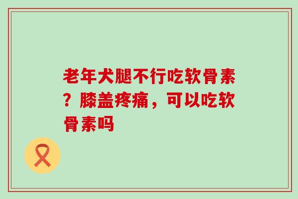 老年犬腿不行吃软骨素？膝盖疼痛，可以吃软骨素吗