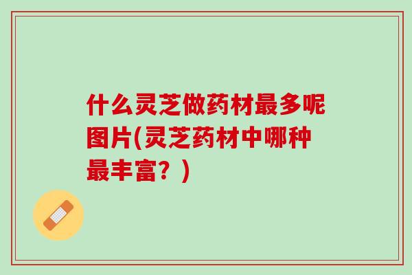 什么灵芝做药材最多呢图片(灵芝药材中哪种最丰富？)