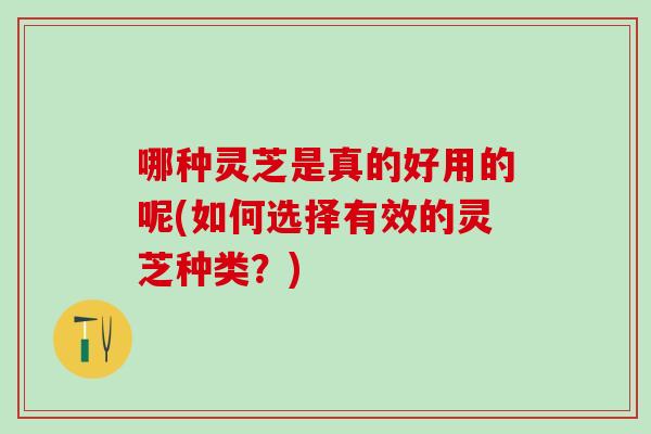 哪种灵芝是真的好用的呢(如何选择有效的灵芝种类？)