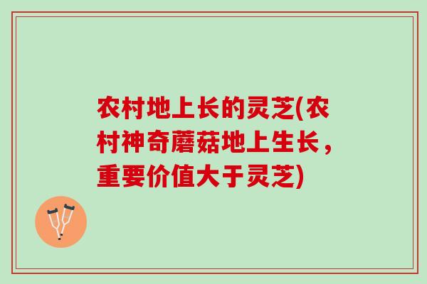 农村地上长的灵芝(农村神奇蘑菇地上生长，重要价值大于灵芝)