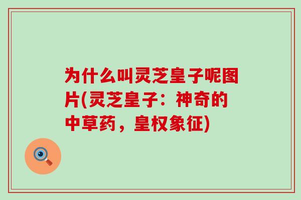 为什么叫灵芝皇子呢图片(灵芝皇子：神奇的中草药，皇权象征)