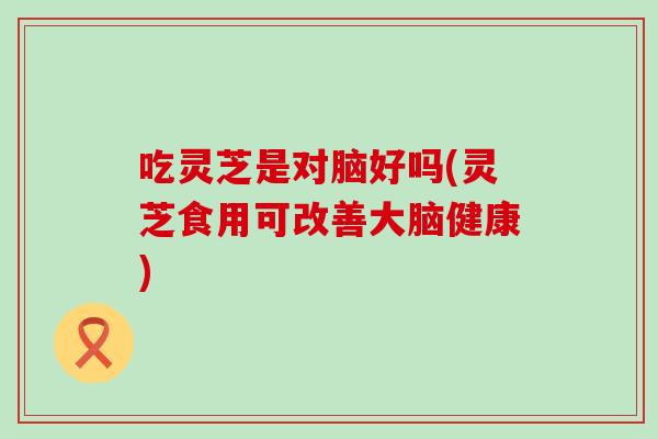 吃灵芝是对脑好吗(灵芝食用可改善大脑健康)