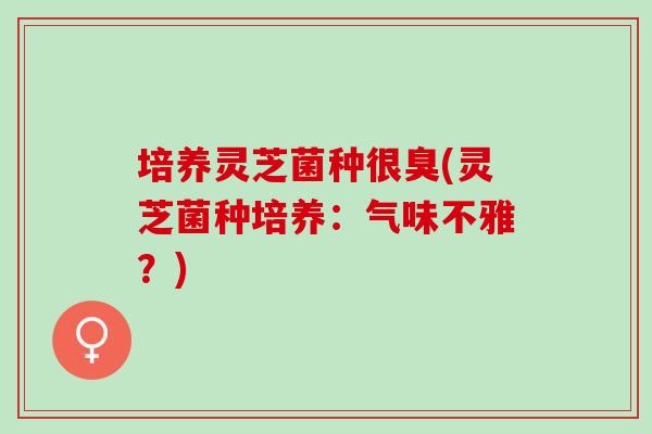培养灵芝菌种很臭(灵芝菌种培养：气味不雅？)