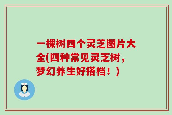 一棵树四个灵芝图片大全(四种常见灵芝树，梦幻养生好搭档！)