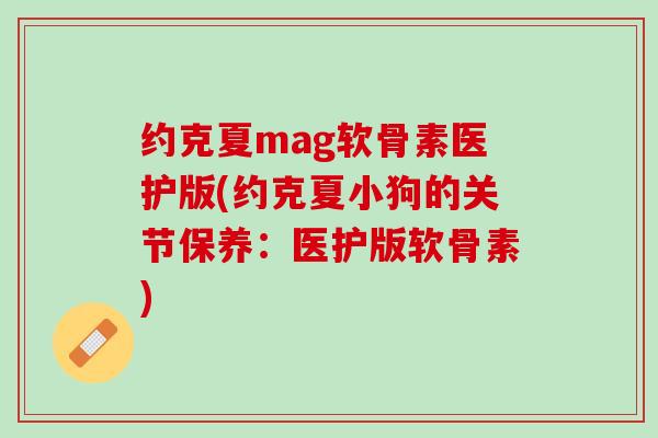 约克夏mag软骨素医护版(约克夏小狗的关节保养：医护版软骨素)