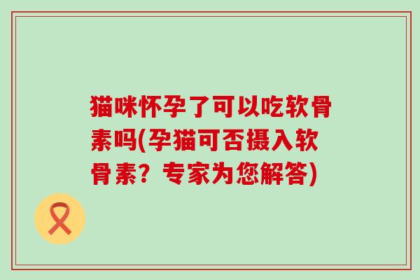 猫咪怀孕了可以吃软骨素吗(孕猫可否摄入软骨素？专家为您解答)