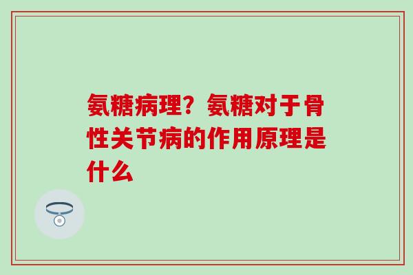 氨糖病理？氨糖对于骨性关节病的作用原理是什么