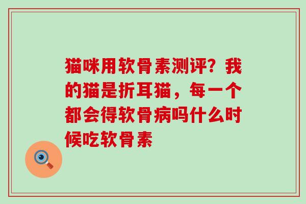 猫咪用软骨素测评？我的猫是折耳猫，每一个都会得软骨病吗什么时候吃软骨素