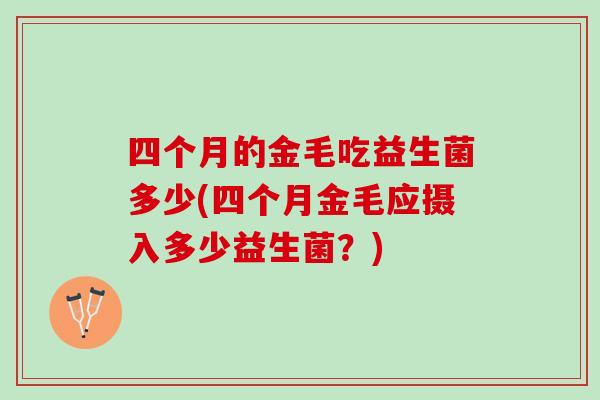四个月的金毛吃益生菌多少(四个月金毛应摄入多少益生菌？)